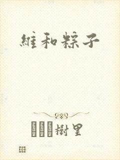维和粽子