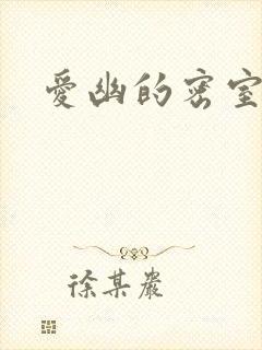 爱幽的密室小说封面
