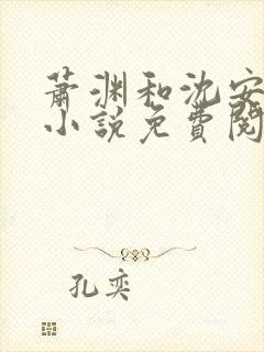 萧渊和沈安安的小说免费阅读