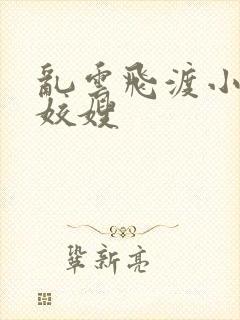 乱云飞渡小说之姣嫂封面
