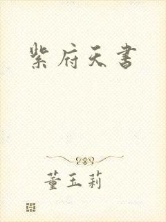 紫府天书