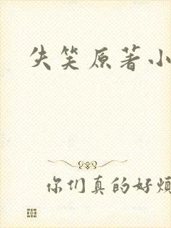 失笑原著小说