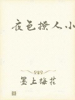 夜色撩人小说封面