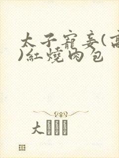 太子宠妾(高肉)红烧肉包封面