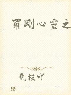 罗刚心灵之约封面
