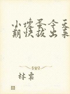 小坏蛋今天危险期快拔出来
