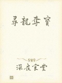 寻龙夺宝封面