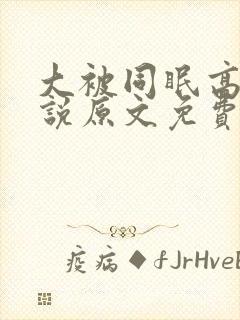 大被同眠高粱小说原文免费阅读封面