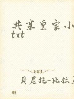 共享皇家小公主txt封面