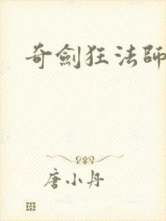 奇剑狂法师封面