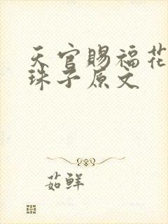 天官赐福花怜塞珠子原文封面