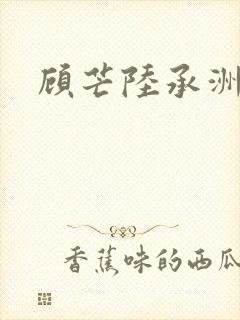 顾芒陆承洲