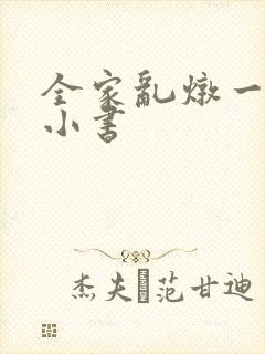 全家乱炖一锅烩小书