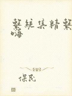 系统集精系统高嗨封面