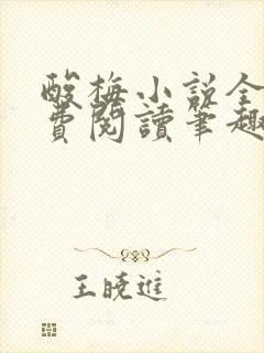 酸梅小说全文免费阅读笔趣阁
