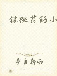 银桃花的小说封面