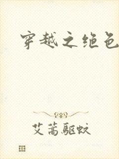 穿越之绝色王妃封面