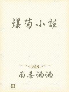 爆菊小说