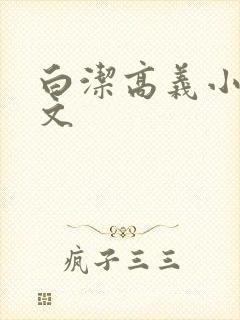 白洁高义小说全文封面