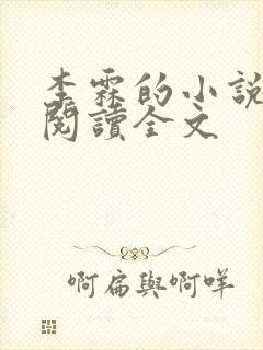 李霖的小说免费阅读全文