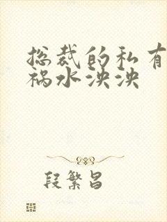 总裁的私有宝贝祸水泱泱