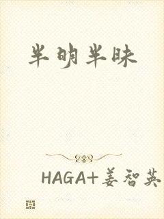 半明半昧