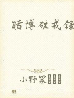 赌博破戒录