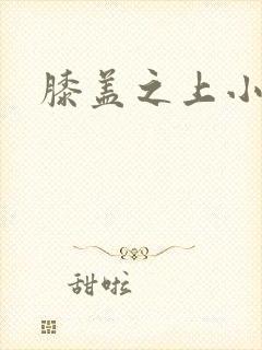 膝盖之上小说