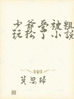 少爷受被粗汉H玩松了小说