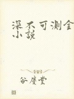深不可测金银花小说