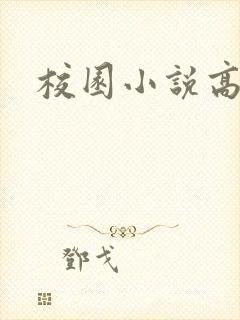 校园小说高h封面