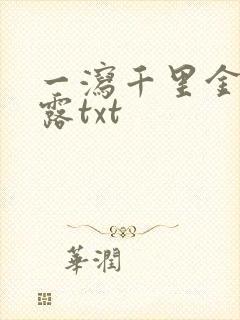 一泻千里金银花露txt