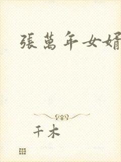 张万年女婿