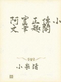 阿宾正传小说全文笔趣阁