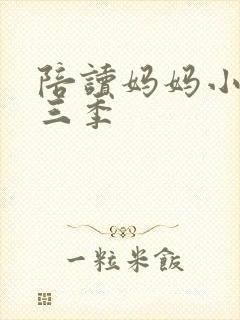 陪读妈妈小说第三季封面