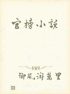 官榜小说封面