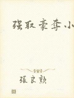 强取豪夺小说