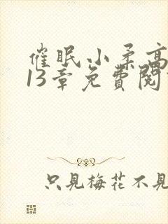 催眠小柔高达第13章免费阅读