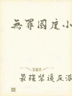 无罪国度小说