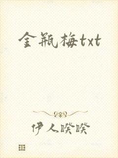 金瓶梅txt封面