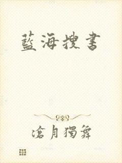 蓝海搜书封面
