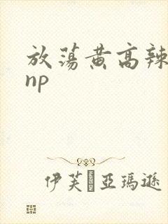 放荡黄高辣h文np