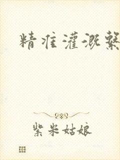 精准灌溉系统封面