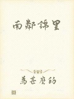 南邻锦里封面
