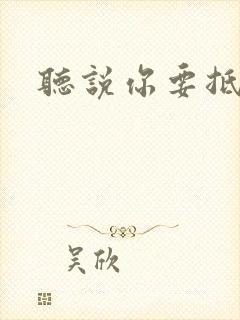 听说你要抵抗我封面