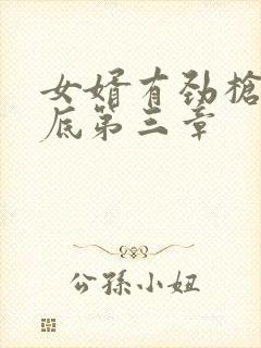 女婿有劲枪枪到底第三章
