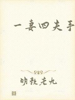 一妻四夫手记封面