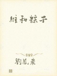 维和粽子封面