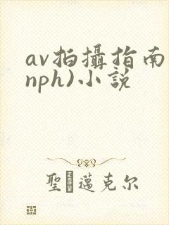 av拍摄指南(nph)小说