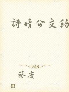 诗晴公交的小说封面